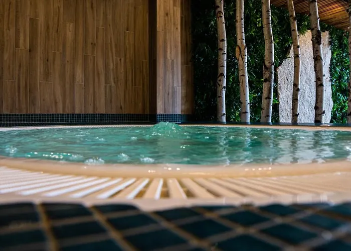 Grey 3* Szklarska Poreba